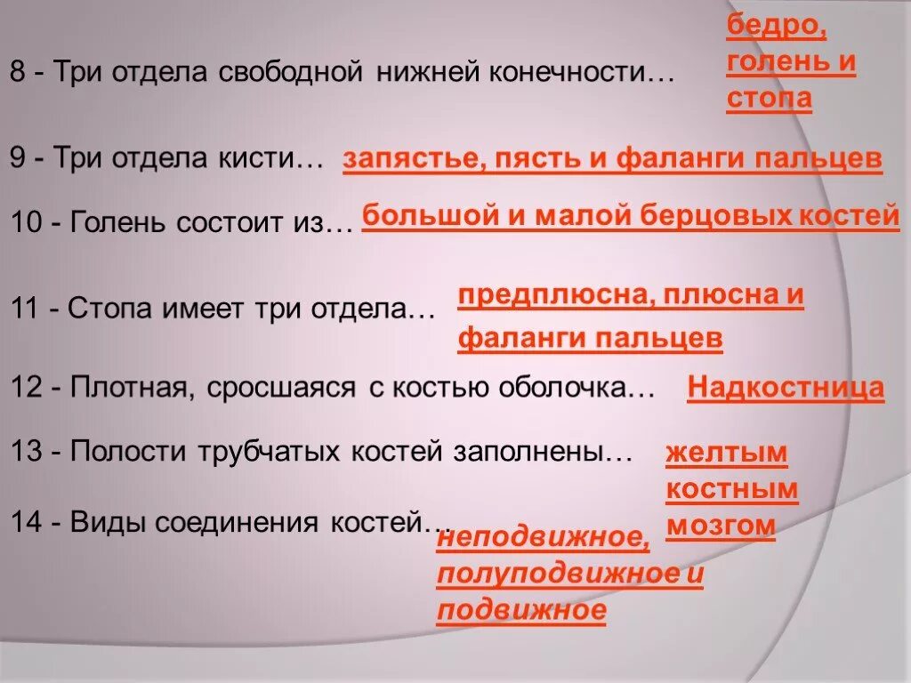 Срослись плотно. Плотная сросшаяся с костью оболочка. плотно сросшаяся с костью оболочка это. плотная оболочка костей. как еазывается плотная, сросшаяся с костью оболочка.
