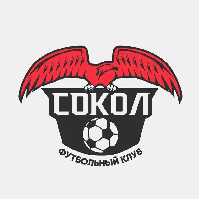 Уралец тс сокол. Фк сокол. фк сокол лого. фк сокол казань.