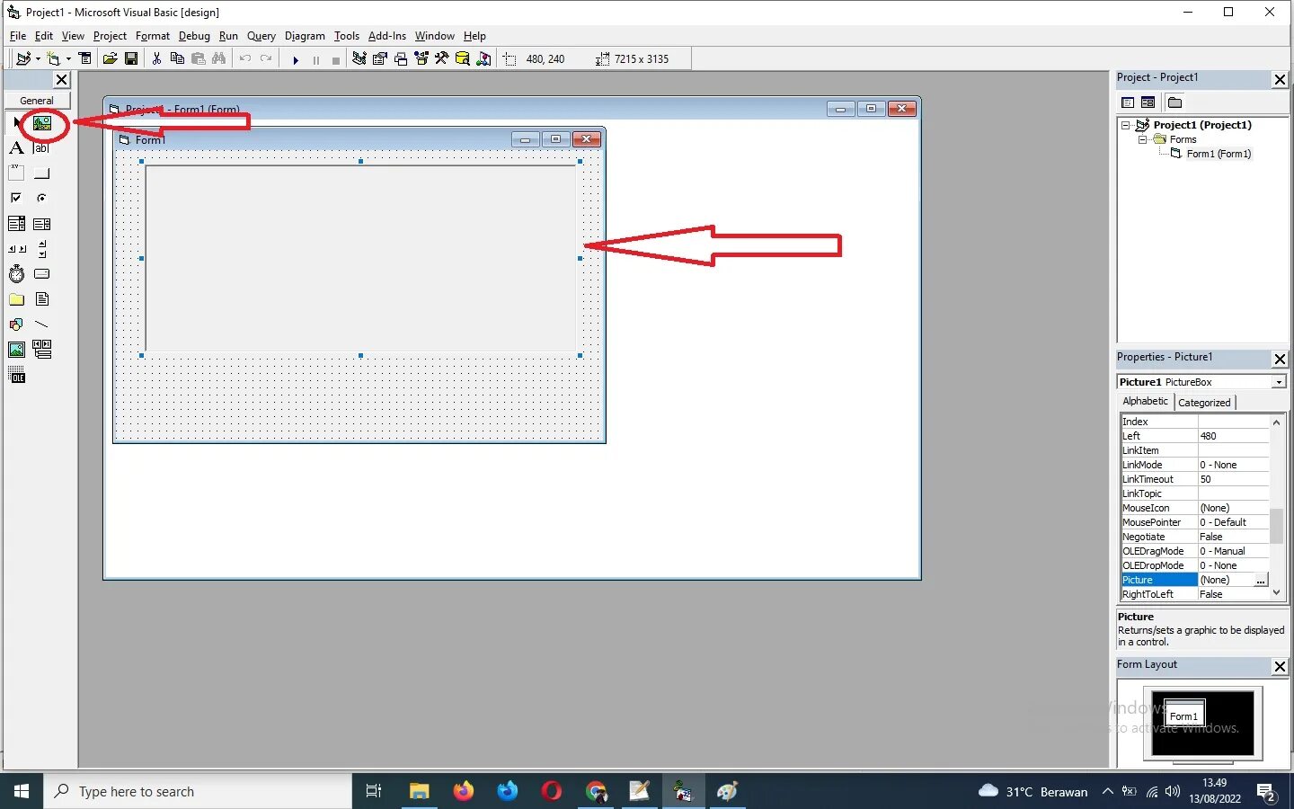 Picturebox windows form. Picturebox windows form