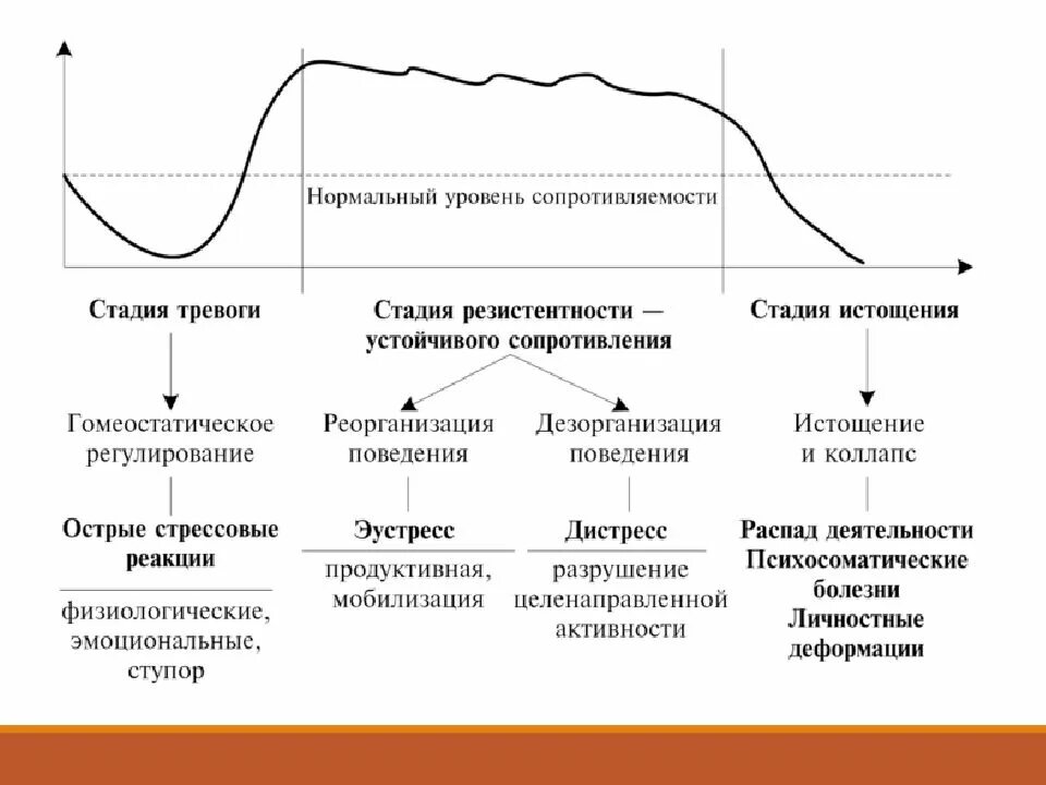 Фазы стрессовой реакции. Стадии развития стресса по селье. динамика развития стресса ганса селье. стадии стресса в психологии по селье. фазы стресса селье схема.