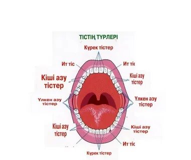 Мелисса Кларк порно видео
