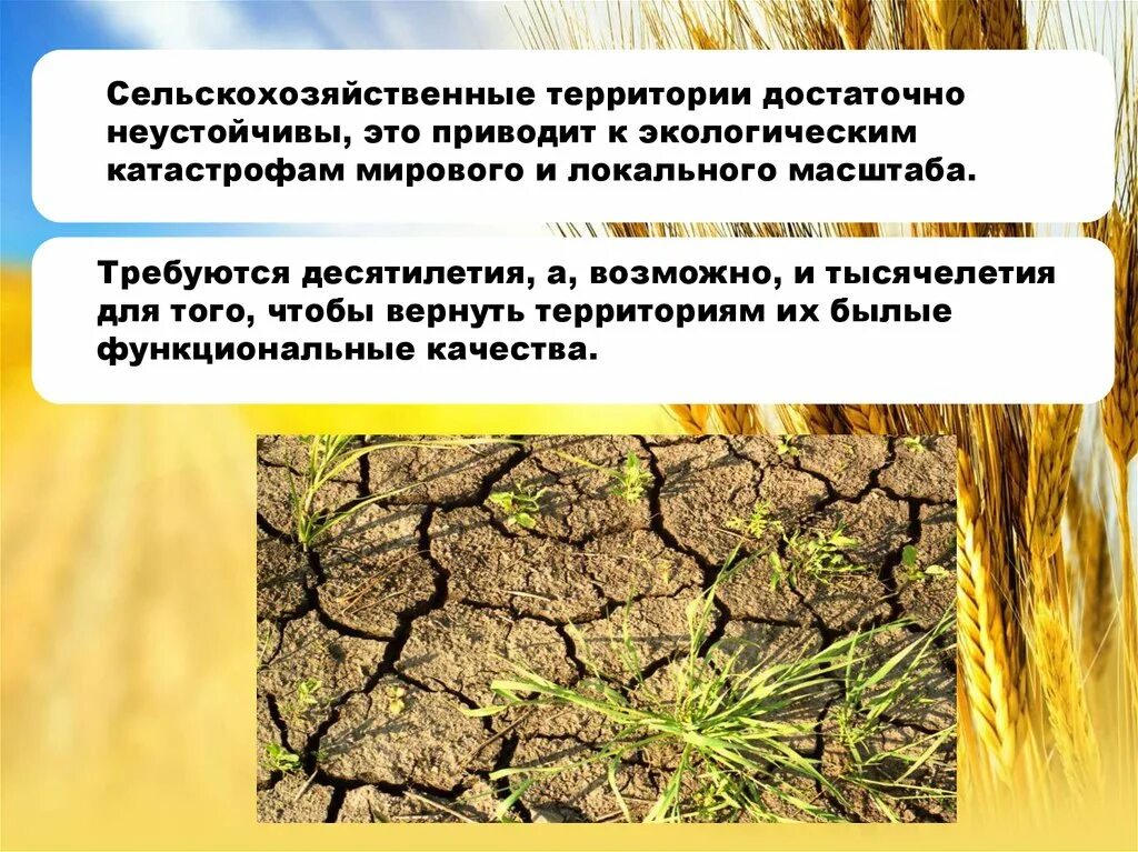 Ограничения для ведения сельского хозяйства в степи. Пути решения экологических проблем сельского хозяйства. Проблемы сельского хозяйства. Проблемы сельскохозяйственной экологии. Экологические проблемы земледелия.