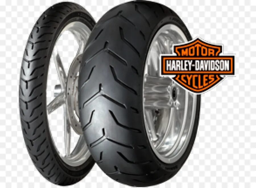 Покрышки для туринга. Шина харлей дэвидсон. Dunlop d407. Покрышка харлей дэвидсон. White sportster 48.