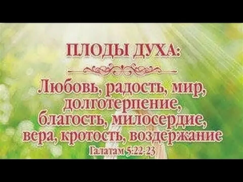 Галатам 5 22-23. Плод духа любовь радость мир. Плоды духа. Плод же духа любовь радость мир долготерпение. Плод духа любовь.
