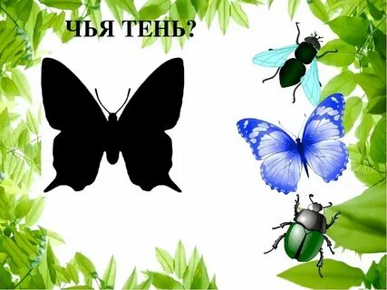 Собери бабочек