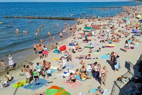 Зеленоградск температура летом