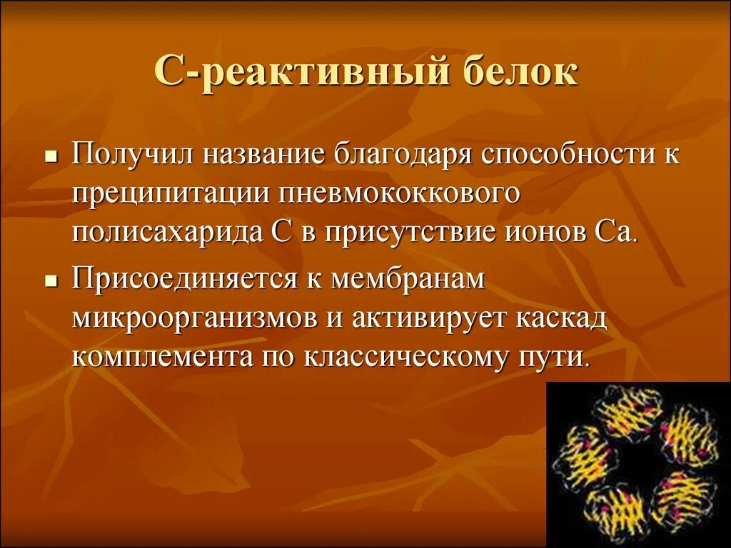 С-реактивный белок. Реактивы на белок. С реактивный белок биохимия. Синтез с-реактивного белка.