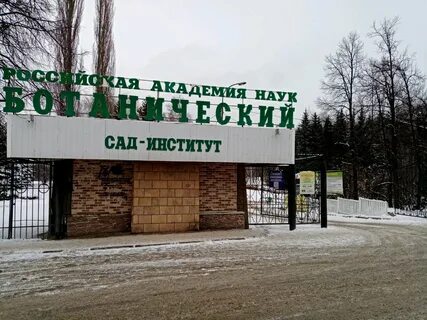 Сад наука екатеринбург