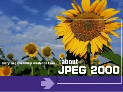 Jpg v 1