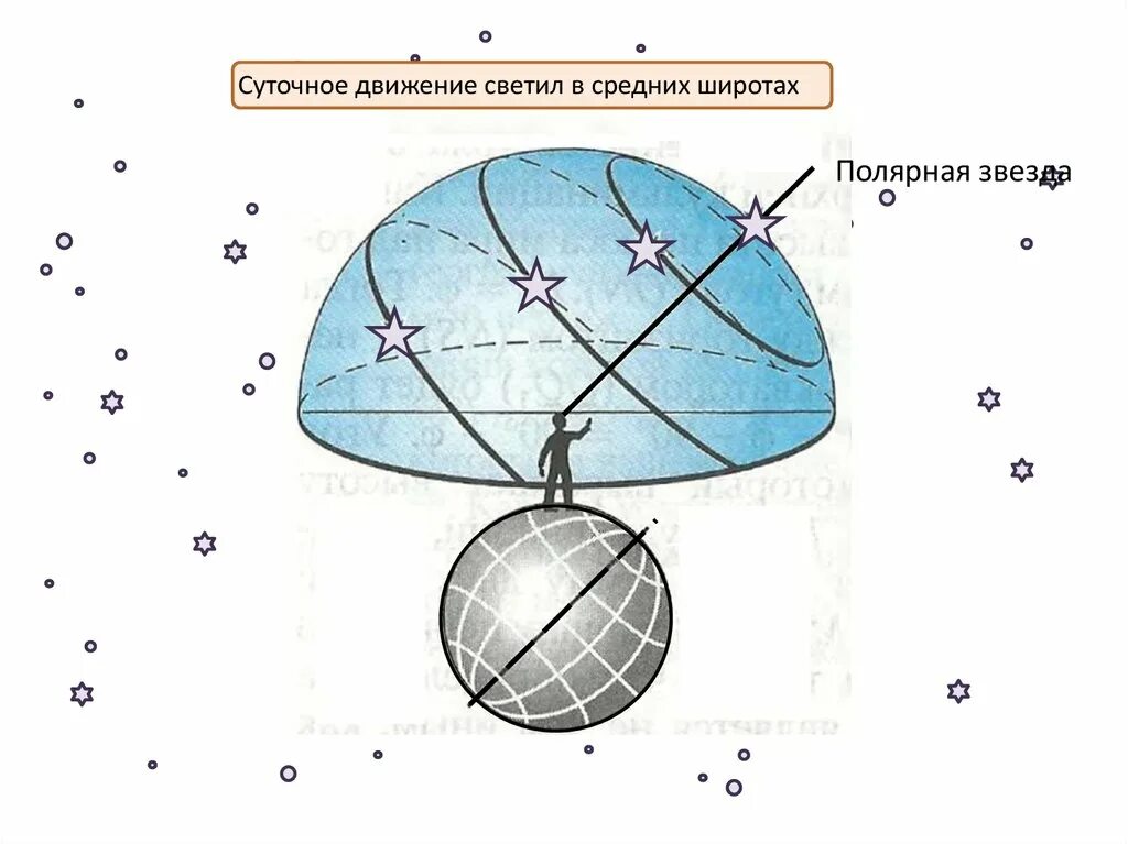 Видимое суточное движение звезд. Суточное движение светил в средних широтах. Видимое движение звезд на различных географических широтах. Видимое движение звёзд в средних широтах. Видимое движение светил