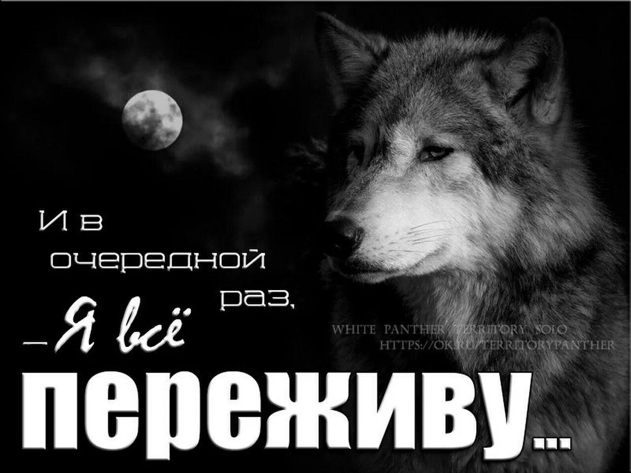 Решила в очередной раз. Я все переживу. Я переживаю. Я не переживаю. Все переживем.