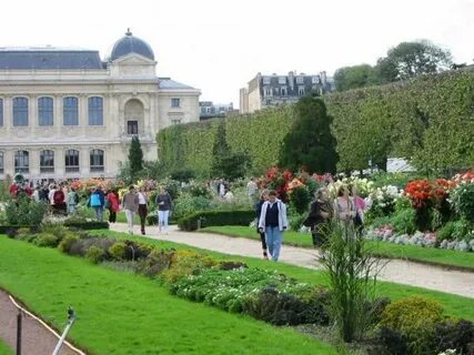 Le jardin des larmes