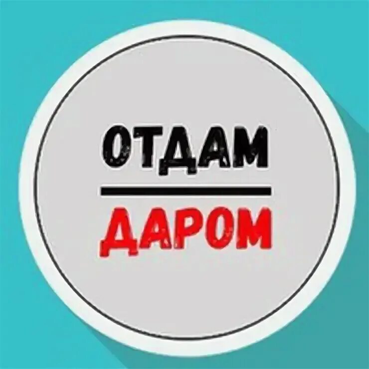 Даром. Отдам даром. Отдам подряд. Отдам даром. Отдам даром обложка.