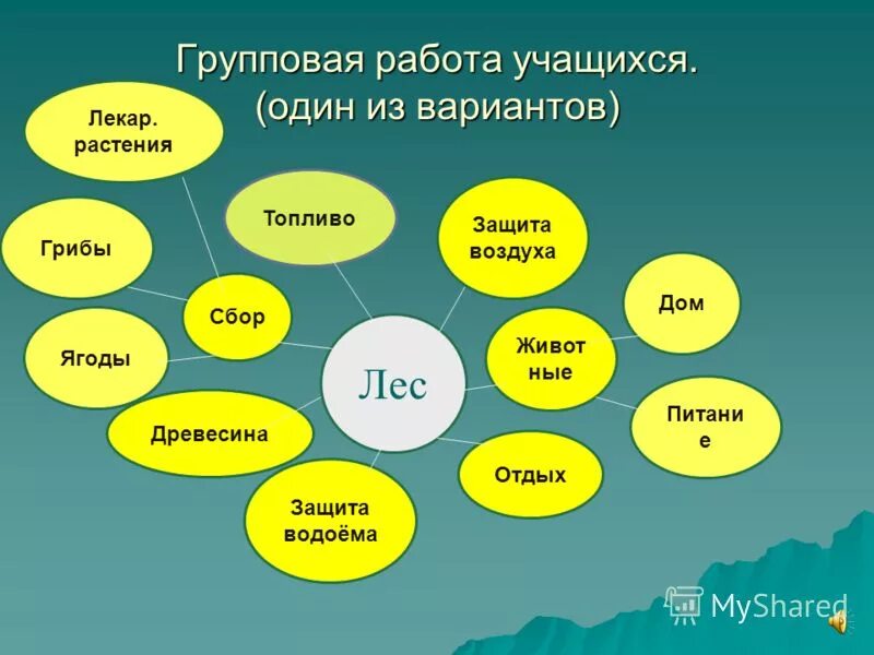 Мир значение 3 класс. Кластер лес. кластер окружающий мир. составление кластера природа. кластер на уроках окружающего мира в начальной школе.