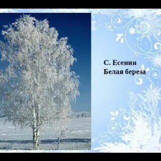Звук белая береза