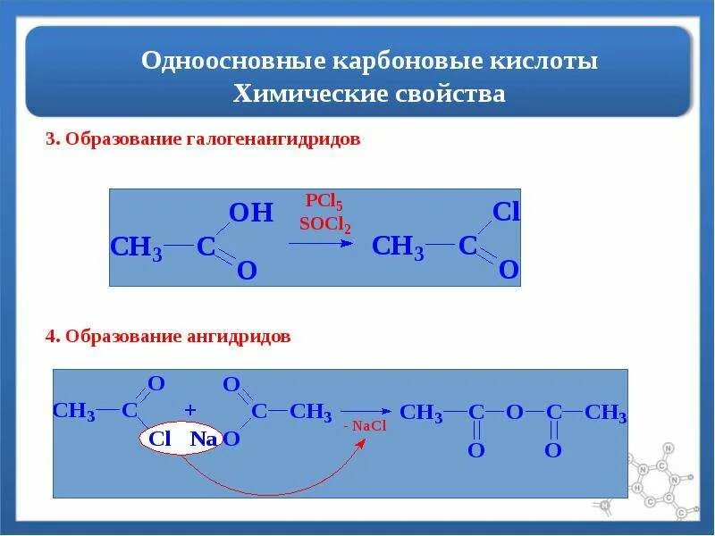 Одноосновная кислота образуется при взаимодействии. Одноосновные карбоновые кислоты. Алифатические карбоновые кислоты. Одноосновнве карбоноаые кисооты. Химические свойства одноосновных карбоновых кислот.