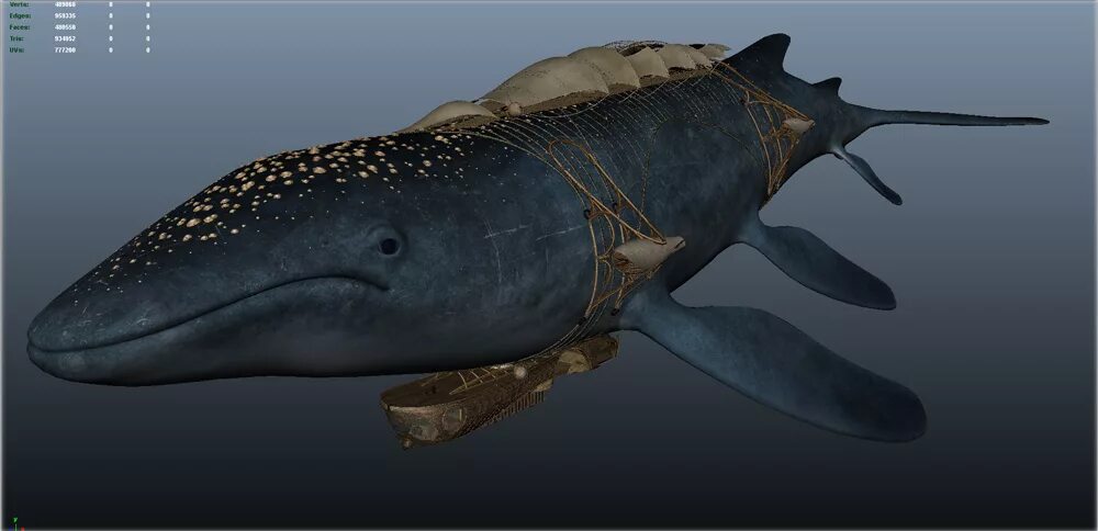 зигофисетер кит. доисторический кит левиафан мелвилла. кит левиафан мелвилла. доисторический кит левиафан мелвилла. древний кашалот левиафан.