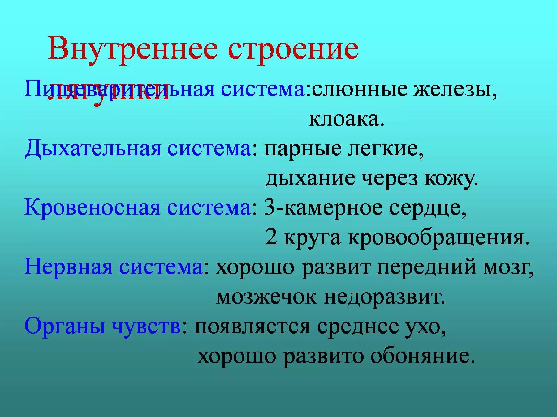 Система органов земноводных 7 класс. Строение и функции внутренних органов земноводных. Строение и функции систем внутренних органов лягушки. Внутреннее строение земноводных таблица. Строение и функции внутренних органов земноводных таблица.