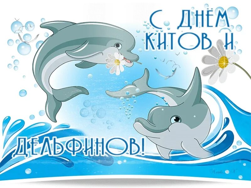 23 июля праздник день китов и дельфинов. 23 июля 2008 года. Календарь 2008г. С днем китов дельфинов поздравление. 23 июля всемирный день китов и дельфинов.