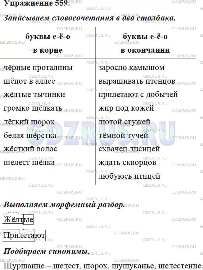 Русский язык 5 упр 559. Гдз по русскому языку 5 класс номер 559. упражнение 559 по русскому языку 5 класс. диктант.запишите словосочетания в которых есть слова. русский язык 5 класс 2 часть ладыженская упражнение 559.