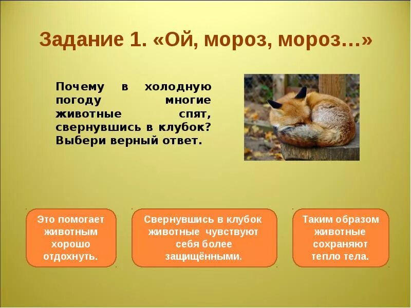 Мир животных это правильно ответ. Мир животных это правильно ответ