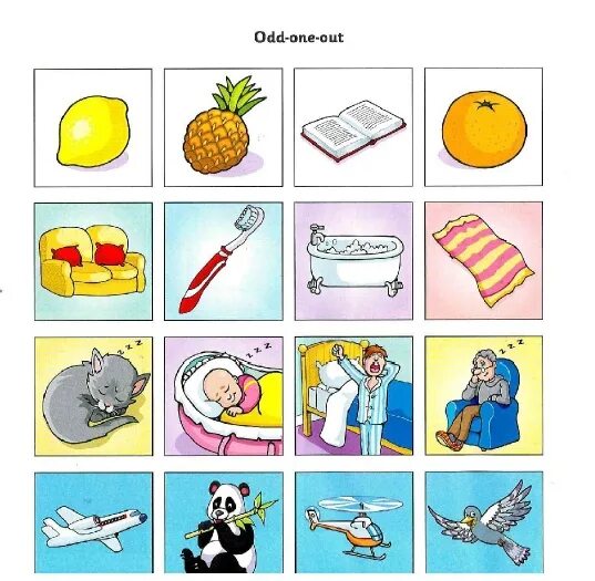 Choose the odd one out pizza. Odd jobs a turn-the-wheel-book.
