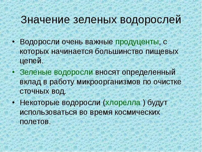 Какое значение для зеленых. Использование зеленых водорослей. Роль зеленых водорослей. Зеленые водоросли и их значение. Отдел зеленые водоросли значение.