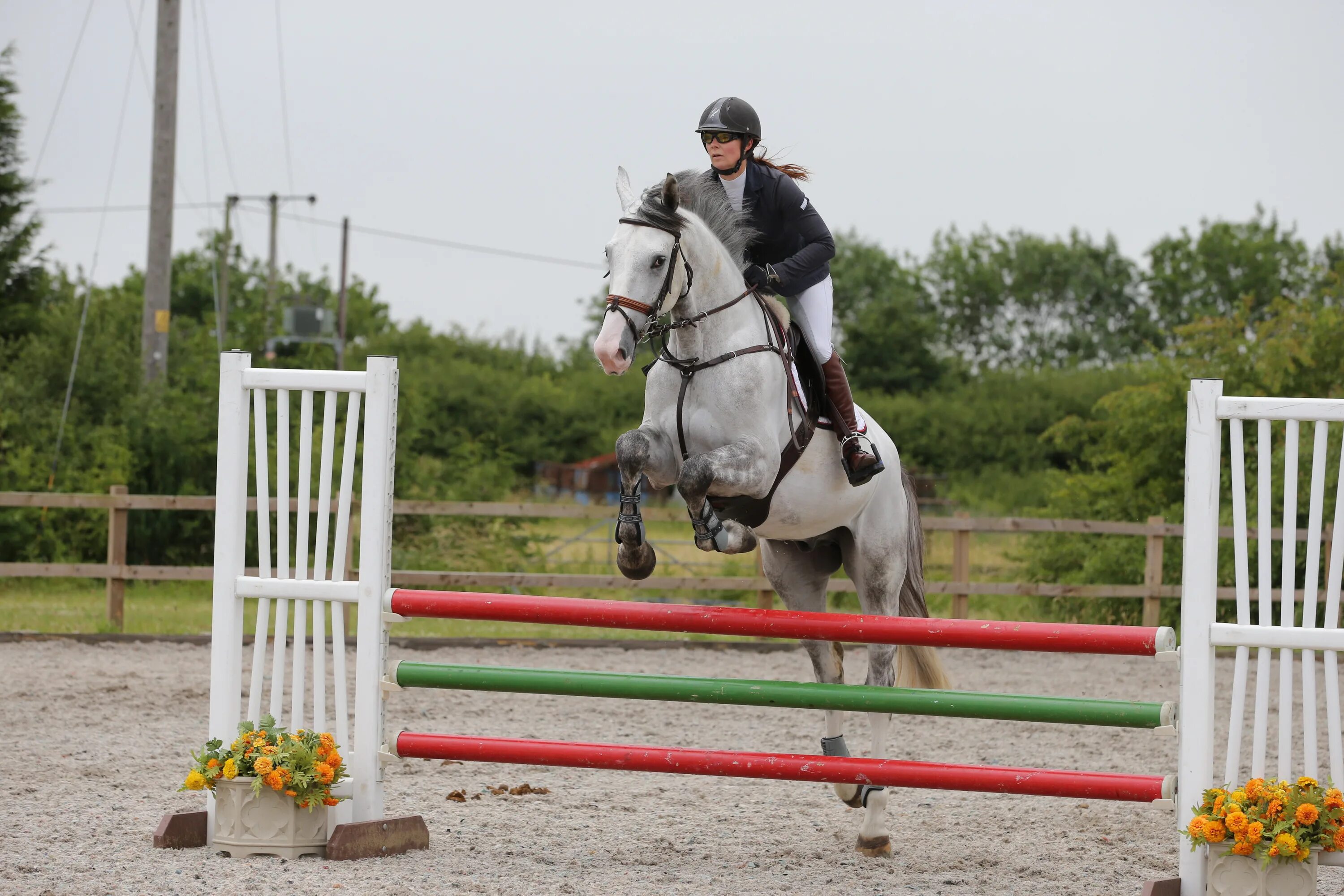 Любительская верховая езда. Жокей конный спорт. Илья лисин конкур. Шарлотта казираги конный спорт. Лошади конкур.