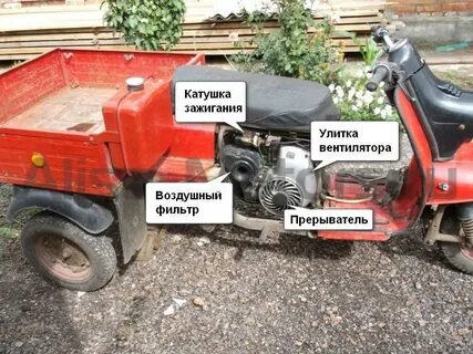 Муравей сколько лошадей