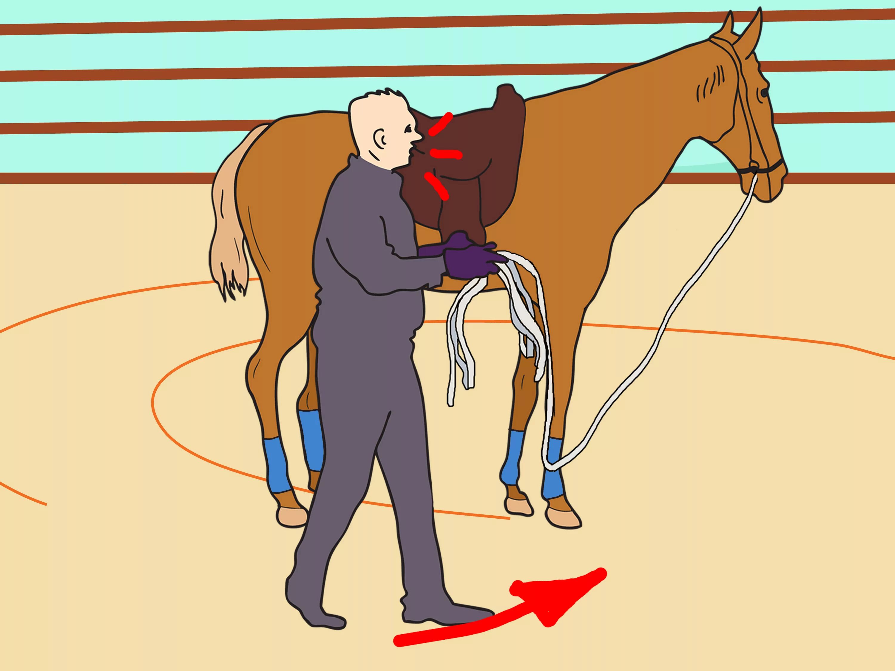 Веревка которой гоняют лошадь. Лошадь гоняют на корде. Как погоняют лошадку. Гонять на корде. Девушка погоняет лошадь.
