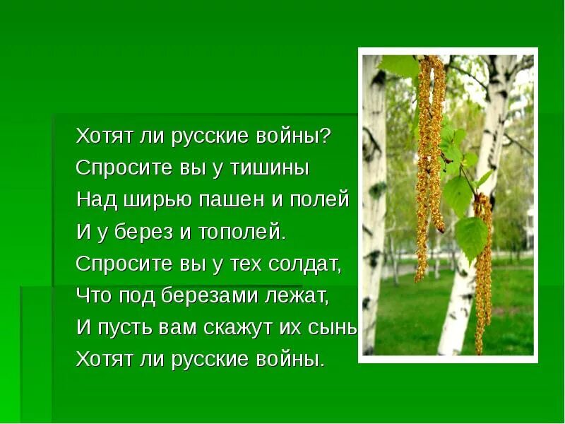 Хотят ли русские войны стихотворение. Хотя ли русские войны стих. Хотят ди русские войны стих. Евтушенко хотят ли русские войны стих. Стихотворение хотят ли русские войны было написано