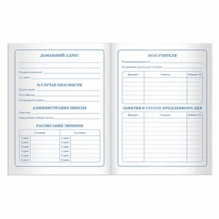 Школьные дневники 1 класса