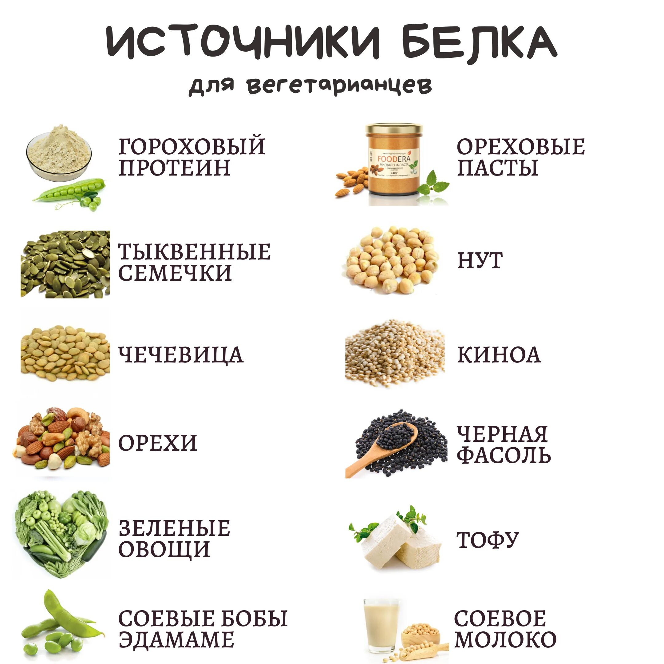 Что едят кроме мяса. Таблица по содержанию белка в растительной пищи. Продукты с высоким содержанием животного белка. Источники белка в продуктах питания. В каких продуктах есть белок список.