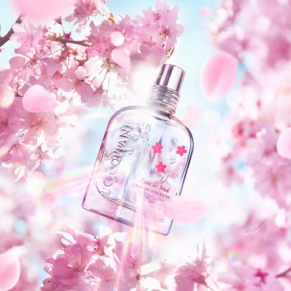 Нежные сладкие ароматы. Черри блоссом духи. L'Occitane Cherry Blossom. Cherry Blossom l'Occitane en Provence. L'Occitane Provence духи.