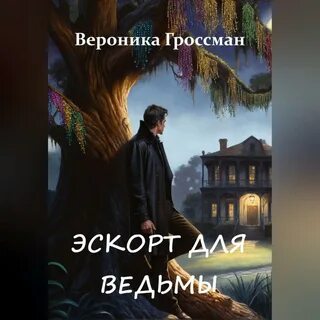 Полуночная академия читать
