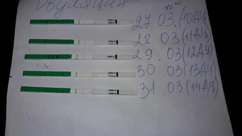 Месячные вместо овуляции. 27 День цикла тест на беременность. Тест на овуляцию и беременность. Тест на 27 день цикла. 25 День цикла тест на беременность.