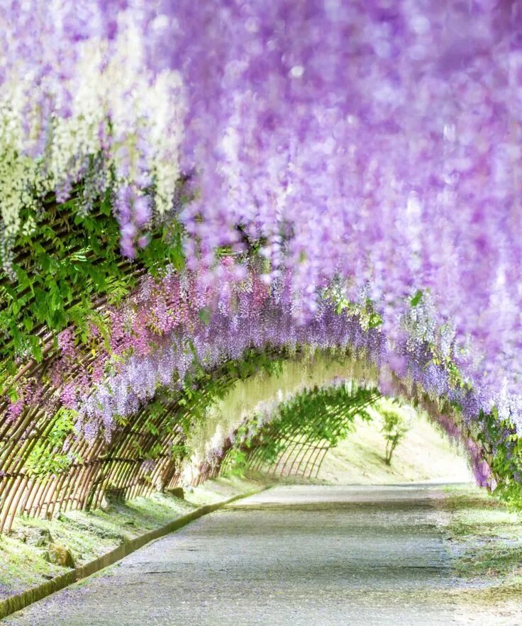 Spring scenes