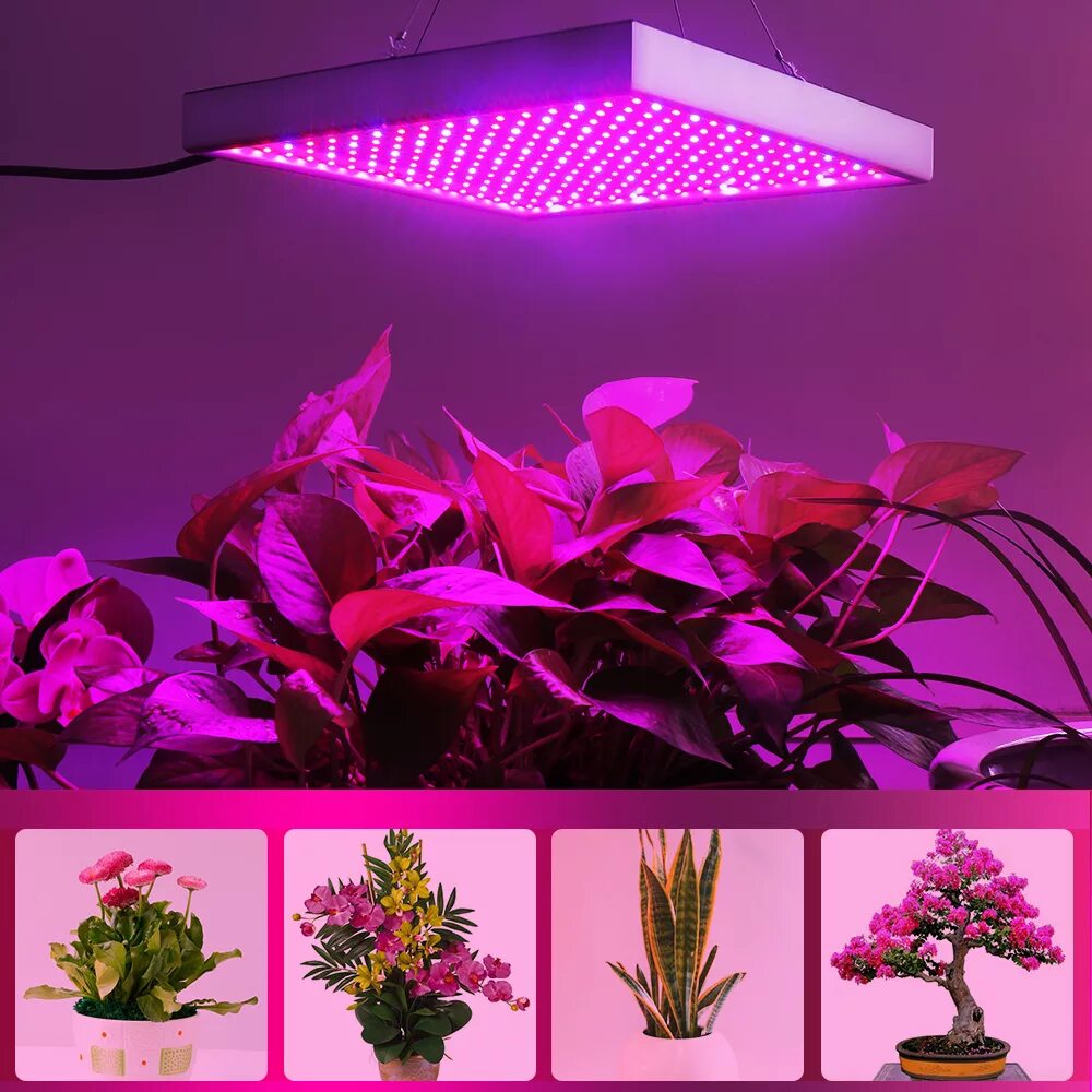 Розовый свет фитолампа. Фитолампа led grow Light. Led лампы для растений 600w. Фитолампа для растений полного спектра 120вт. Фитолампа для растений 30w 500 led.