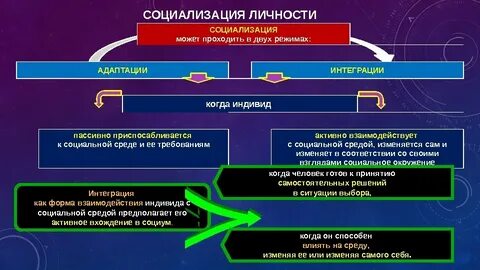 Активная социализация