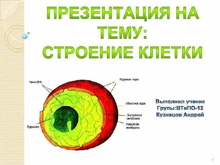 Любая клетка состоит. Из чего состоит клетка. МЗ чего состоит клетки. Тщ чего состоит клетка. Клетка из чего состоит клетка.