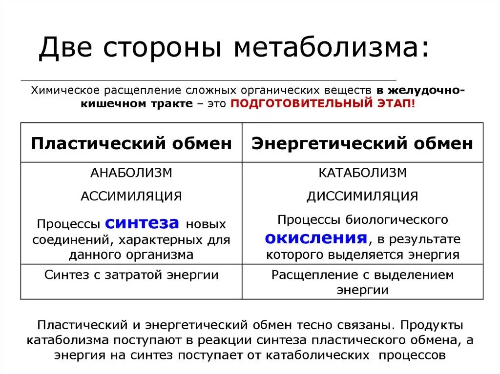 Стороны метаболизма. Охарактеризуйте две стороны метаболизма.. Характеристика процесса метаболизма. Охарактеризуйте две сторон обмена веществ..