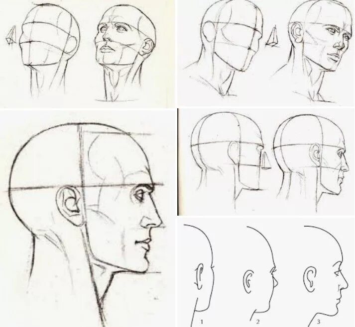 Профиль референс построение. Голова человека в профиль референс. Рисование головы. Зарисовки головы человека. Референс головы человека