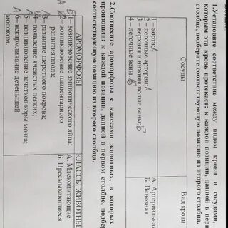 Задание 2 соотнесите