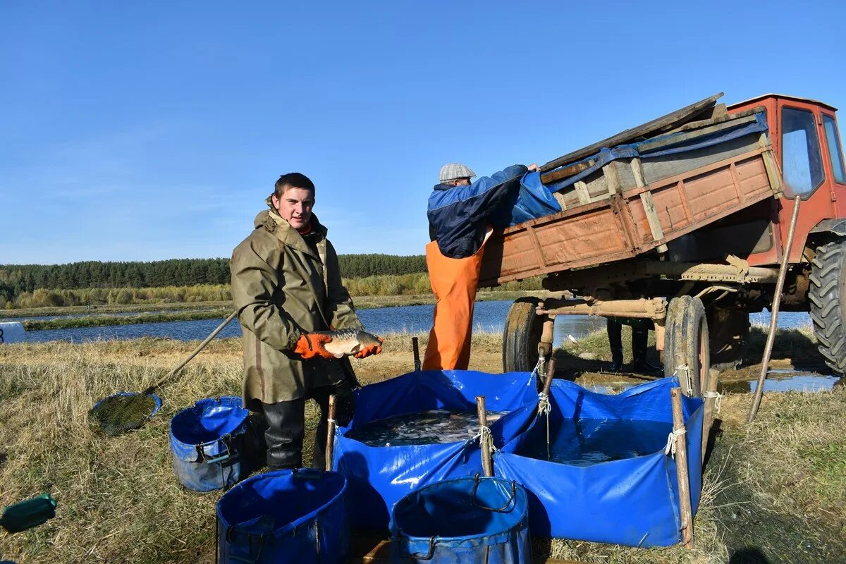 Рыбхоз борисовский белгородская область. Рыбхоз егорьевск. Рыбхоз варваровка алексеевский. Рыбхоз карамышево. Беловское водохранилище рыбное хозяйство.