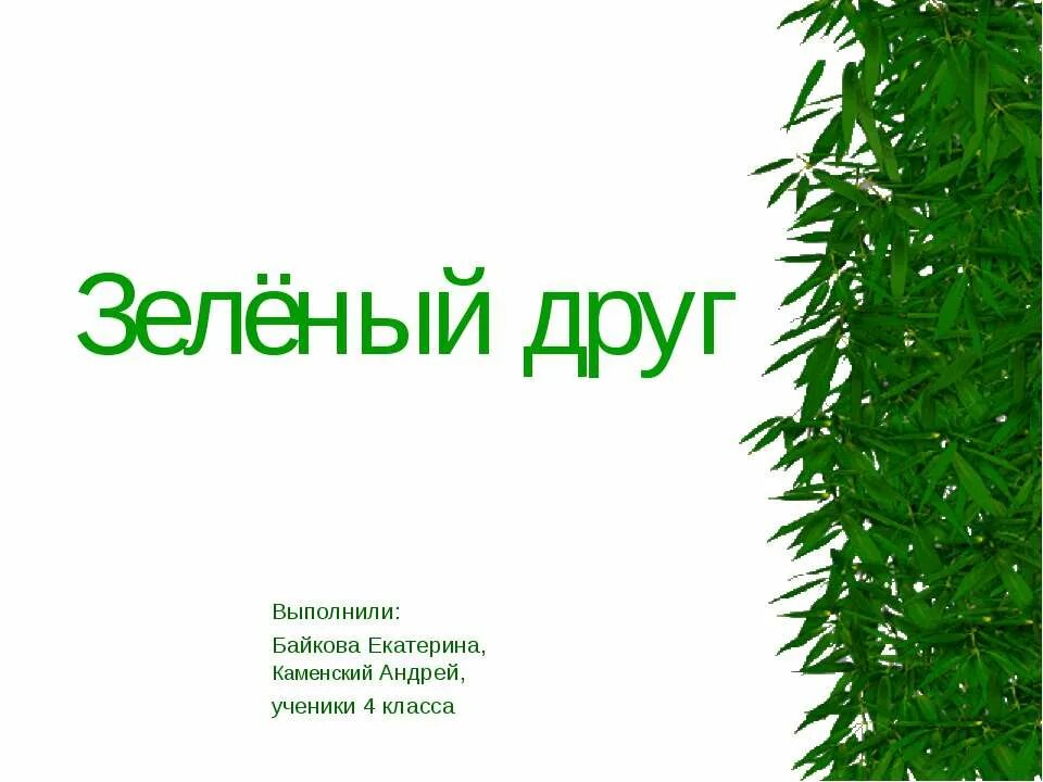 Наши зеленые друзья. Тема недели зеленые друзья. Проект «зеленый подъезд». Тема недели зеленые друзья. Тема недели наши зеленые друзья.