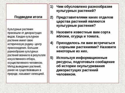 Чем обусловлено разнообразие