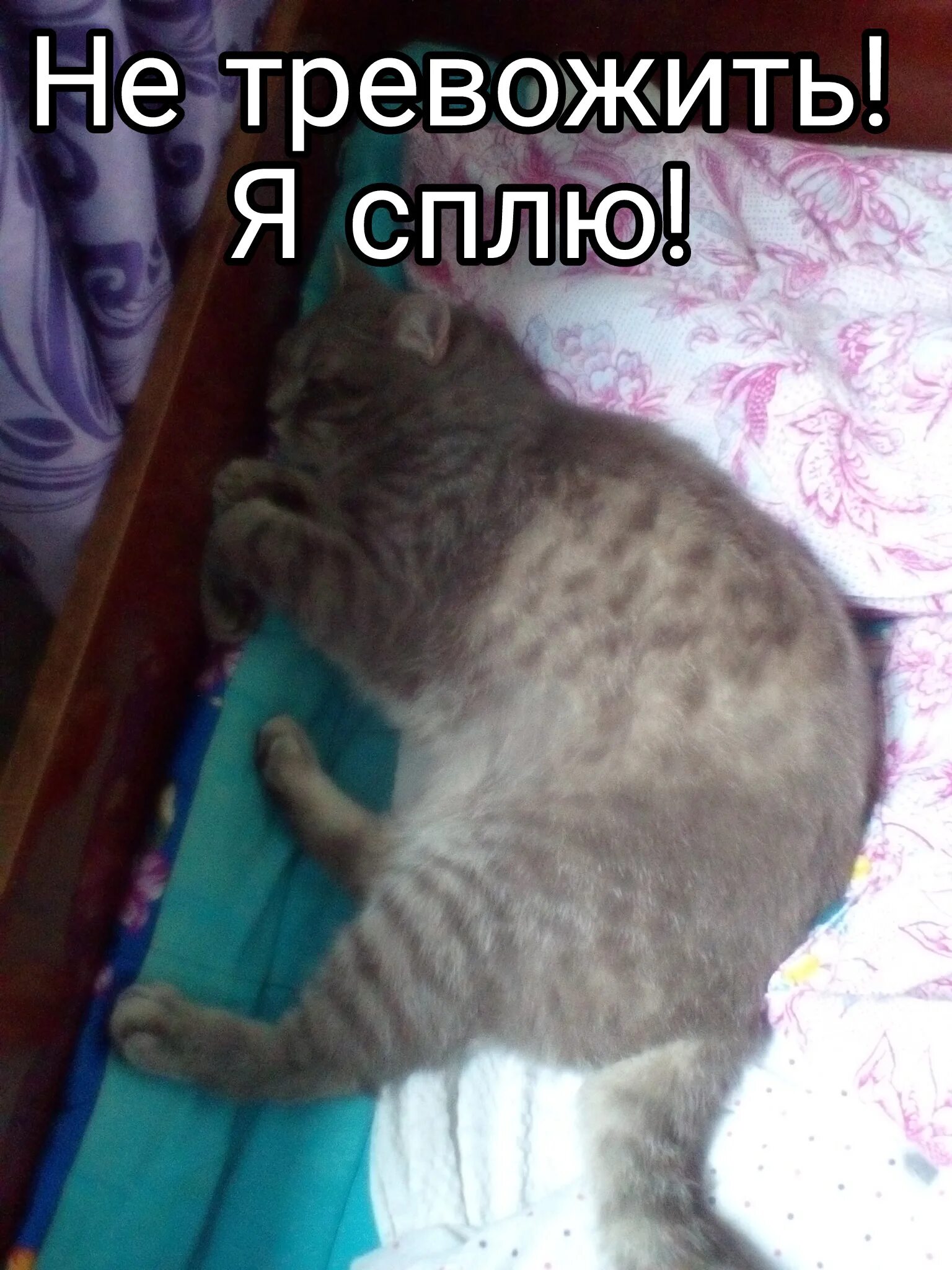 Уйди в спящий