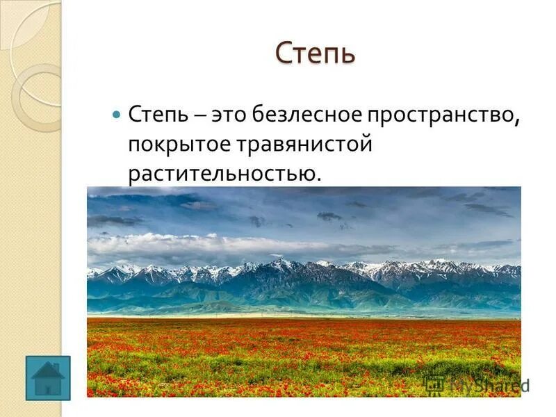 Назовите безлесные природные зоны. Безлесная степь. Степь Безлесное пространство покрытое травянистой растительностью. Степи безлесные зоны. Карточки на тему Южные безлесные зоны.