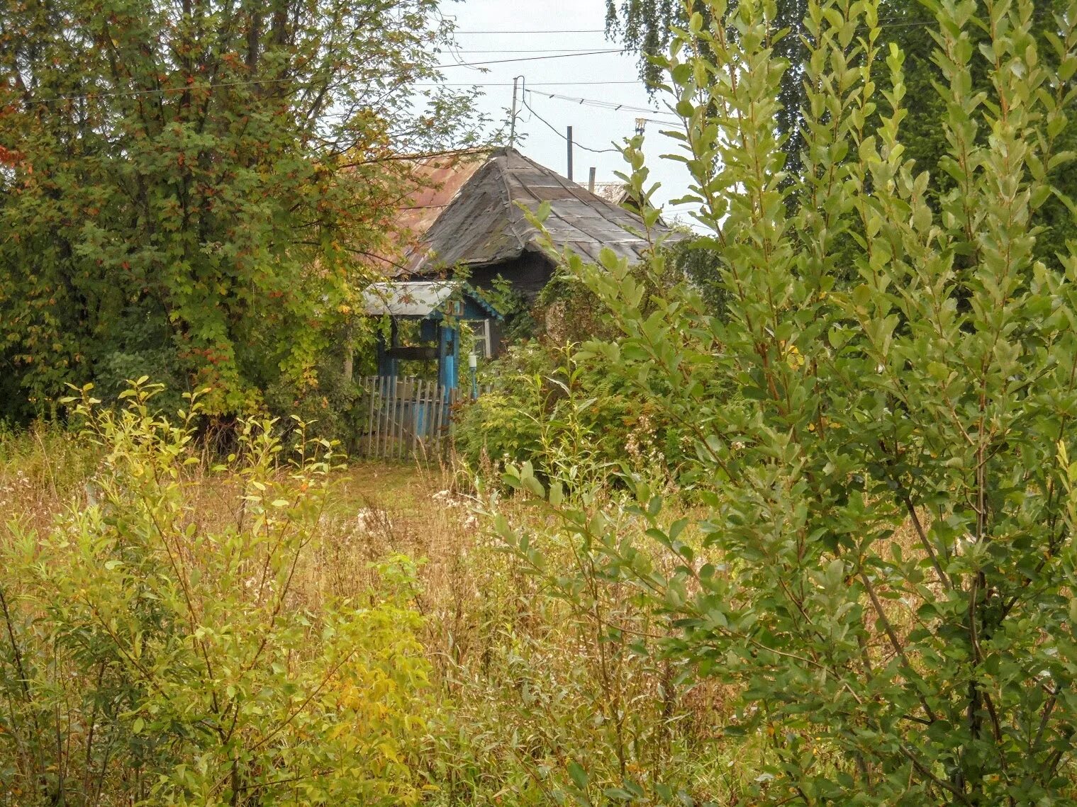 Плотниково (посёлок, Кемеровская область). Промышленновский район Плотниковское сельское поселение. Природа Промышленновского района. Село Тарасово Промышленновский район. Гисметео плотниково