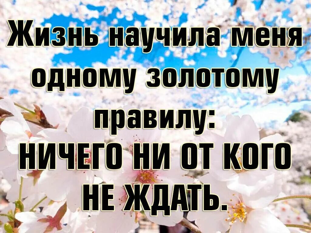 ничто ни тихие. ничто ни тихие. ни на кого не надейся. осенний вечер тютчев. никогда не надейся на кого-то.